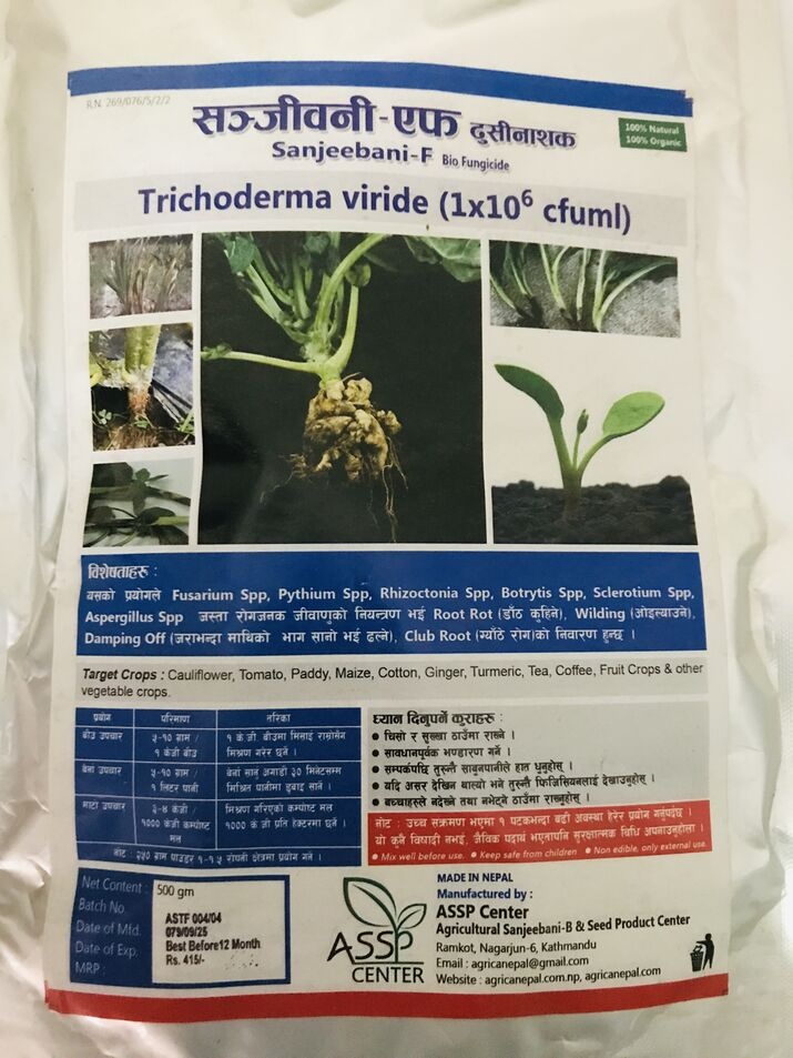 Trichoderma viride-ट्राइकोडर्मा भिरिडे
