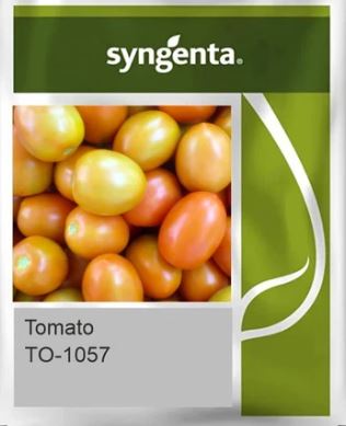 Hybrid Tomato Seeds